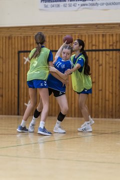 Bild 287 - wBJ TSV Ellerau - HSG Stoertal Hummeln : Ergebnis: 26:19